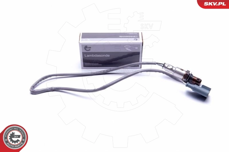 Oxygen Sensor